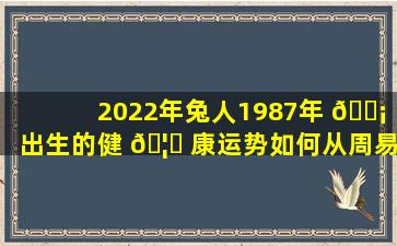 2022年兔人1987年 🐡 出生的健 🦅 康运势如何从周易角度分析